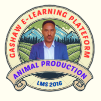 Gashaw    E-Learning PLatform